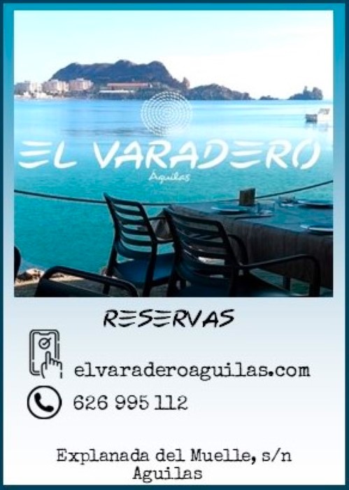 GENERIC BANNER - NOTICIAS - EL BARADERO