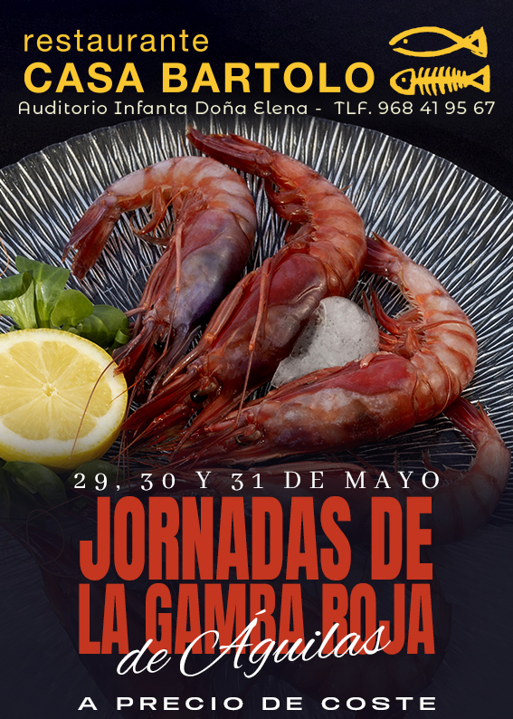 GENERIC BANNER - NOTICIAS - CASA BARTOLO