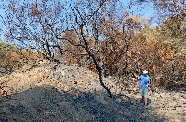 AMACOPE exige “mano dura para acabar con los reiterados incendios en Marina de Cope”