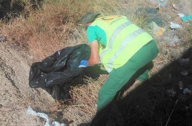  Concluyen los trabajos de limpieza de la Vía Verde del Embarcadero del Hornillo