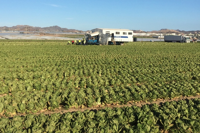 Abierto el plazo de inscripción en las acciones formativas gratuitas del plan de Fomento del empleo en el sector agrario de Águilas