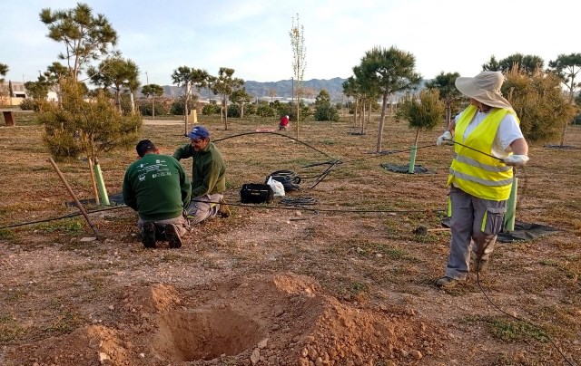Continúan en Águilas los trabajos de plantación de arbolado en distintos puntos del municipio