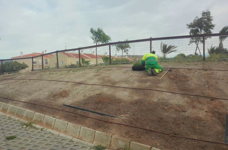 Esta semana concluye la reforestación del parque Virgen de Fátima con más de 2.500 plantas autóctonas 