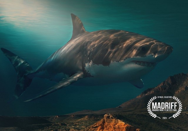 El documental Tiburón blanco, de la productora aguileña School of sharks, seleccionado en diversos festivales internacionales 