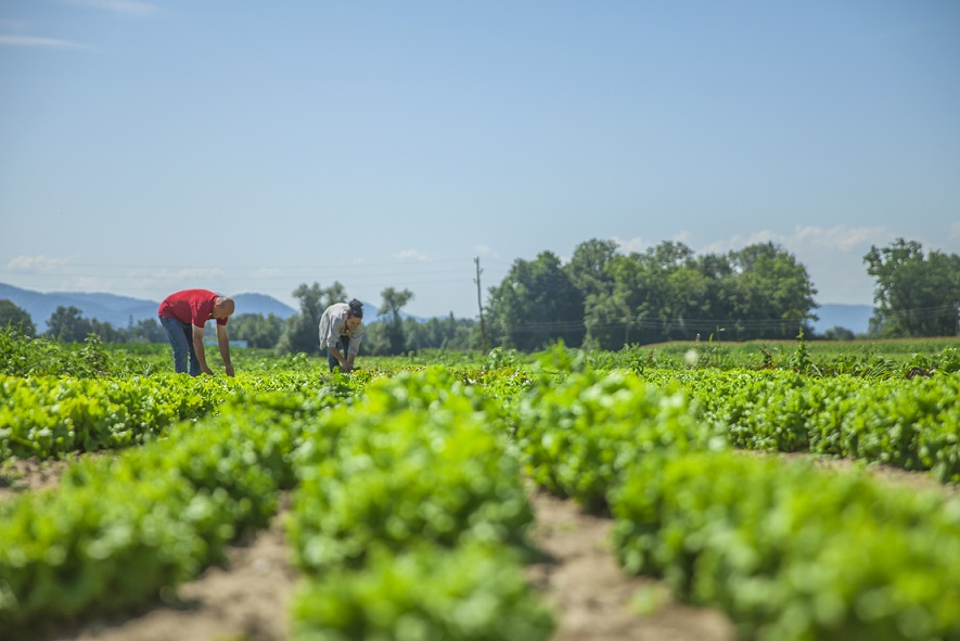 Abierto el plazo de inscripción para los nuevos cursos para el fomento del empleo en el sector agrícola