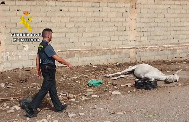 La Guardia Civil investiga a un vecino de Águilas por abandono animal