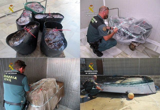 La Guardia Civil detecta la pesca ilícita de cerca de 200 kilos de pulpo en Águilas