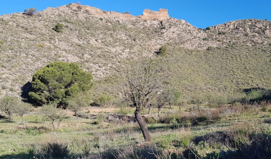 El Ayuntamiento de Águilas habilita un microbús para el homenaje a Domingo Jiménez Beltrán “El legado en acción: Minga por Chuecos”