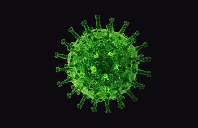 Águilas suma 7 nuevos contagios hoy sábado y vuelve a superar los noventa casos activos de coronavirus   