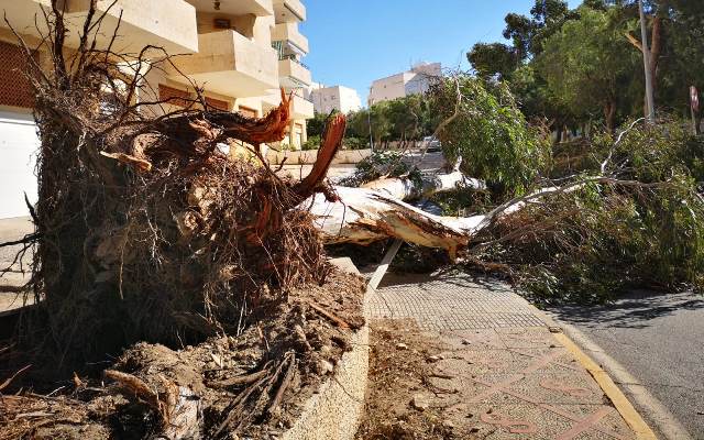 El Ayuntamiento de Águilas pide que se extremen las precauciones ante el fuerte viento 