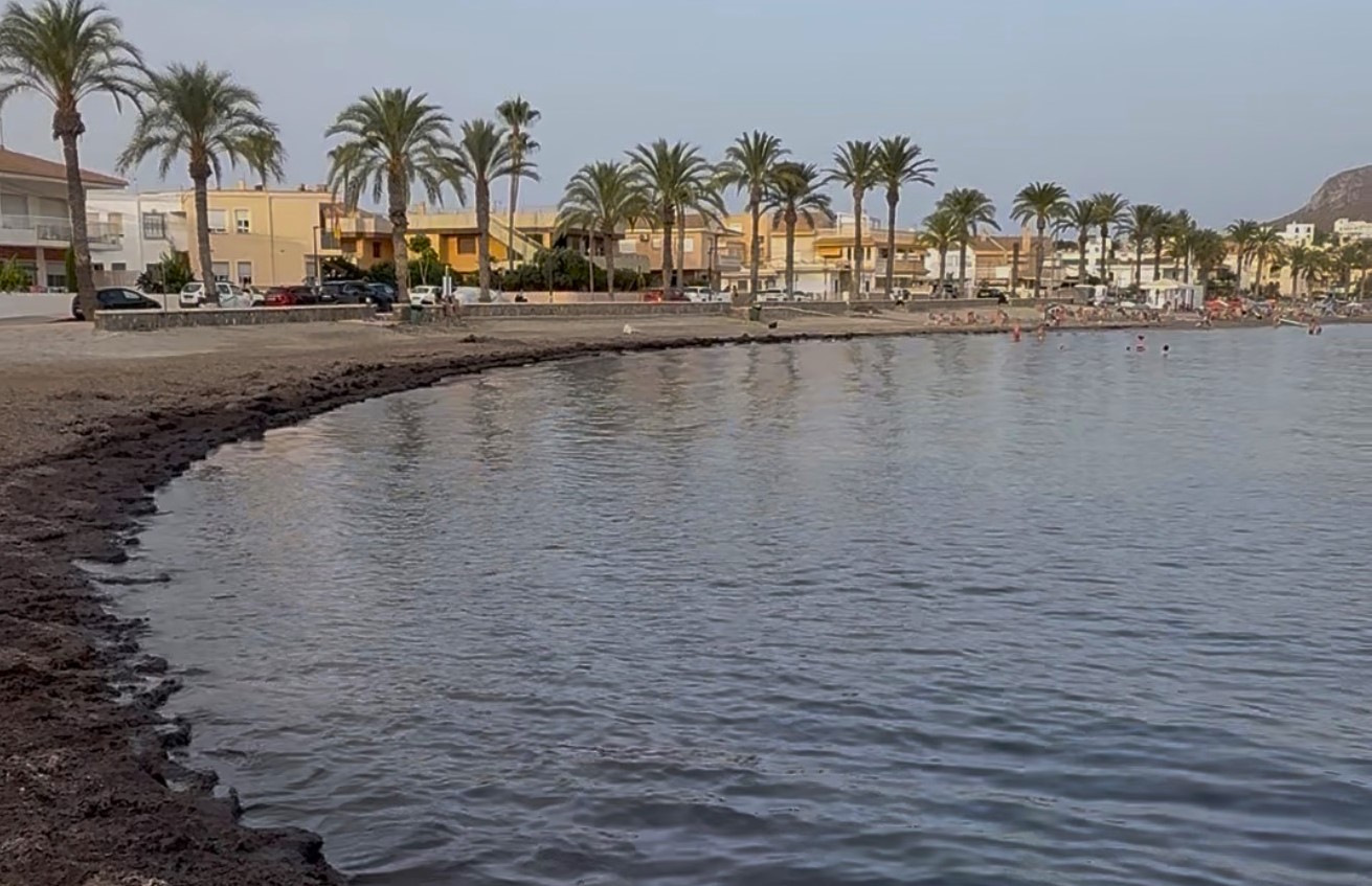 El PP vuelve a reclamar soluciones “para recuperar la playa de Calabardina”