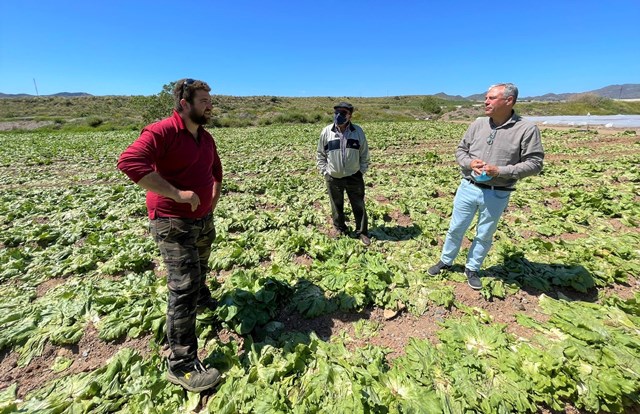 La Concejalía de Agricultura se suma a las peticiones de Asaja ante las pérdidas causadas en el sector por las lluvias