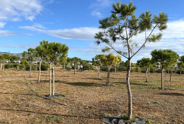 El parque Felipe López de Águilas vuelve a ser vandalizado apenas veinticuatro horas después de la actuación de replantado de pinos