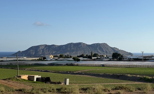 El PP de Águilas respalda a los regantes y defiende sus alegaciones frente al Plan de Conservación de la Tortuga Mora