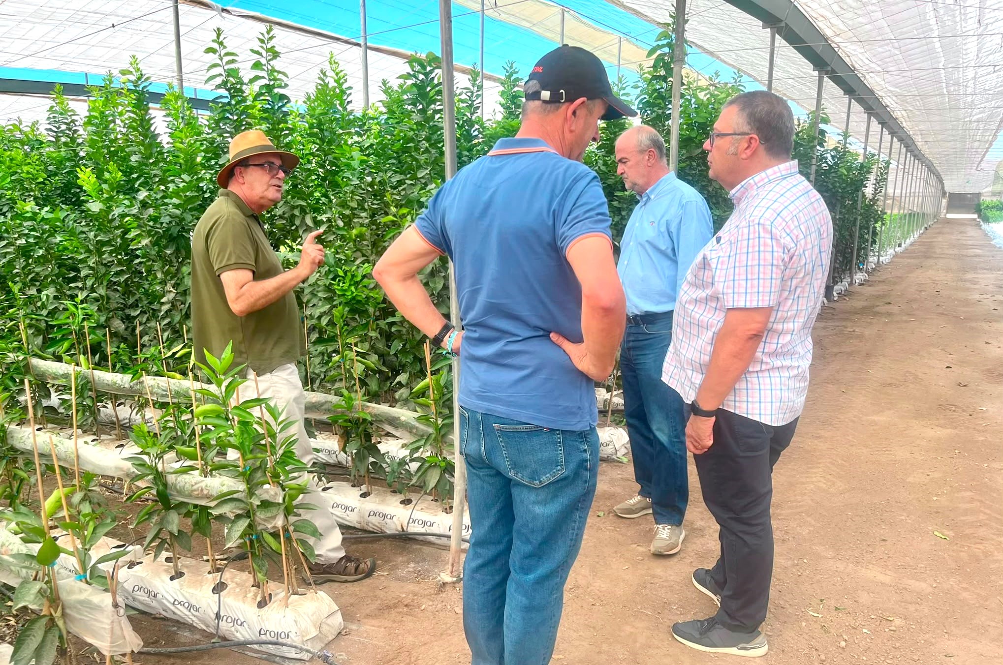 Agricultura supervisa en Águilas la toma de muestras en viveros de cítricos para garantizar la sanidad frente a la clorosis nervial amarilla