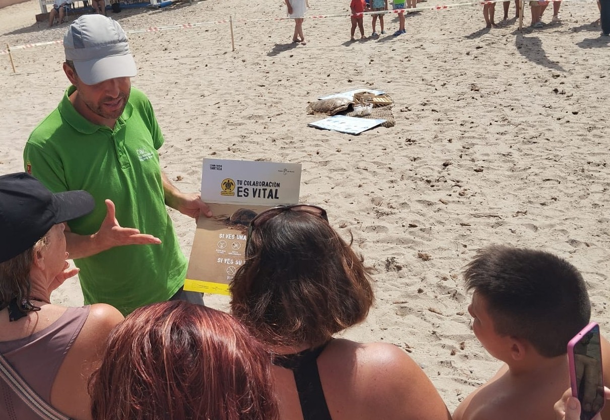 Águilas acoge la próxima semana una jornada de formación de voluntarios para proteger a la tortuga boba