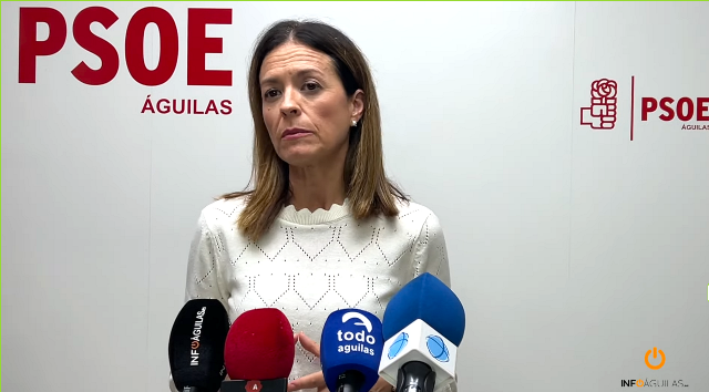 El PSOE acusa al PP de continuar “con su política basada en el insulto y las descalificaciones continuas hacia la alcaldesa”