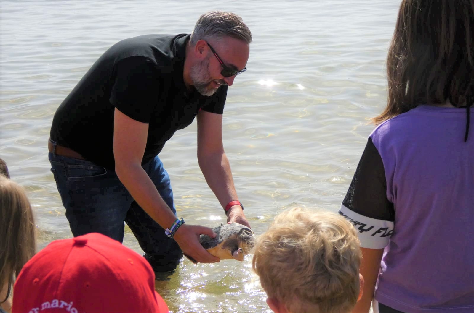 Liberan la tortuga boba que el pasado verano encontró enredada en basura marina un piragüista junto a la playa Amarilla de Águilas