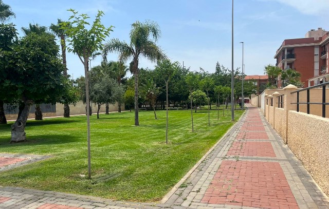 El Ayuntamiento de Águilas continúa su campaña de plantaciones de árboles para crear refugios climáticos