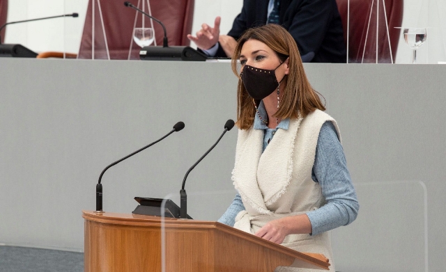 Ruiz Jódar acusa al PSOE de crear alarma social y mentir sobre la atención hospitalaria a las mujeres embarazadas 