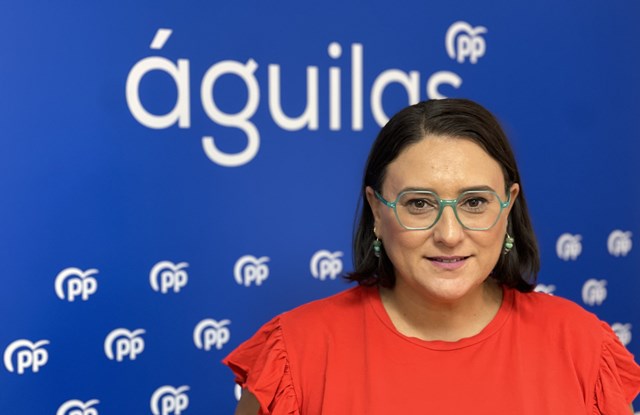 El PP insta al pleno municipal a oponerse a la tramitación de una ley de Amnistía