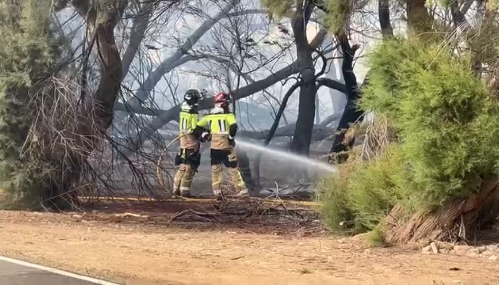 Un incendio junto a la Playa del Charco en Águilas afecta a 100 metros cuadrados de tarays