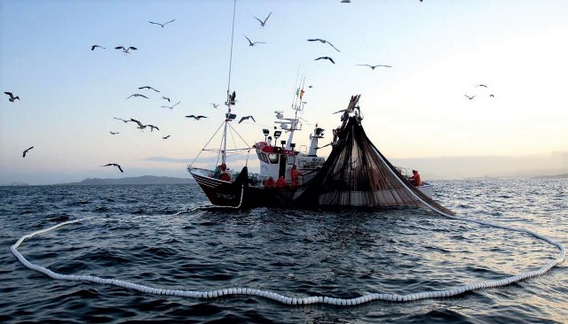 Águilas entre las beneficiadas con ayudas del Fondo Europeo Marítimo y de Pesca 