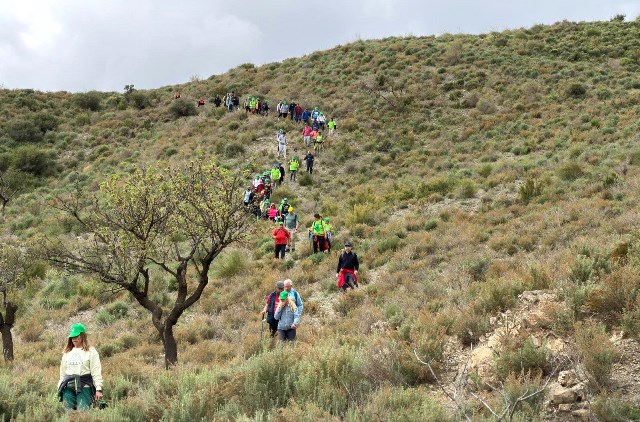 Arrancan las Fiestas del Agricultor en Águilas con la tradicional ruta senderista por la Cuesta de Gos