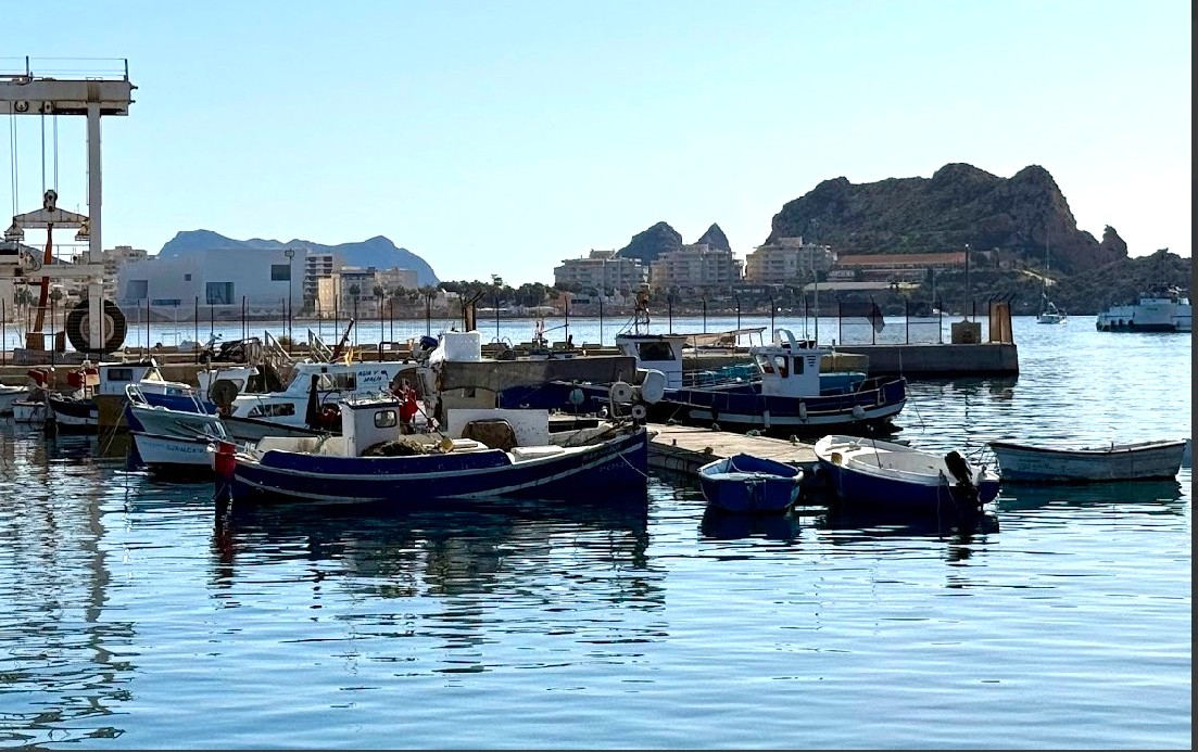 El Ayuntamiento de Águilas solicita una subvención de 31.550 euros para el fomento de la formación en el sector pesquero