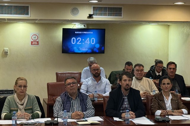 El PP afirma haber conseguido que “el equipo de Gobierno ponga el foco de atención en el Paseo de la Colonia”