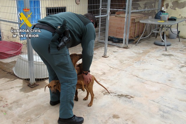 La Guardia Civil investiga a un vecino de Águilas por abandonar a sus perros