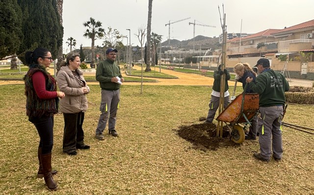 Continúan los trabajos de plantación de arbolado en distintos puntos de Águilas