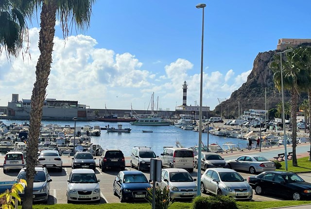 Este domingo se llevará a cabo en Águilas una cadena humana organizada por la Plataforma en Defensa de la Sanidad Pública del Área III