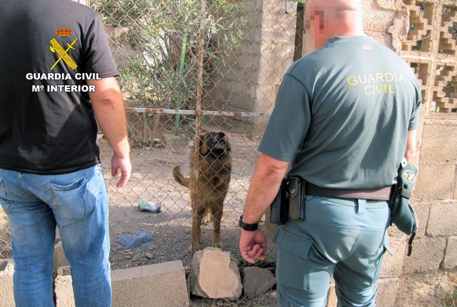 La Guardia Civil investiga a un vecino de Águilas por delito de abandono animal