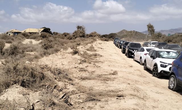 AMACOPE denuncia que “la ampliación del camino de acceso a la playa de La Carolina arrasa especies vegetales protegidas y perjudica a la fauna”