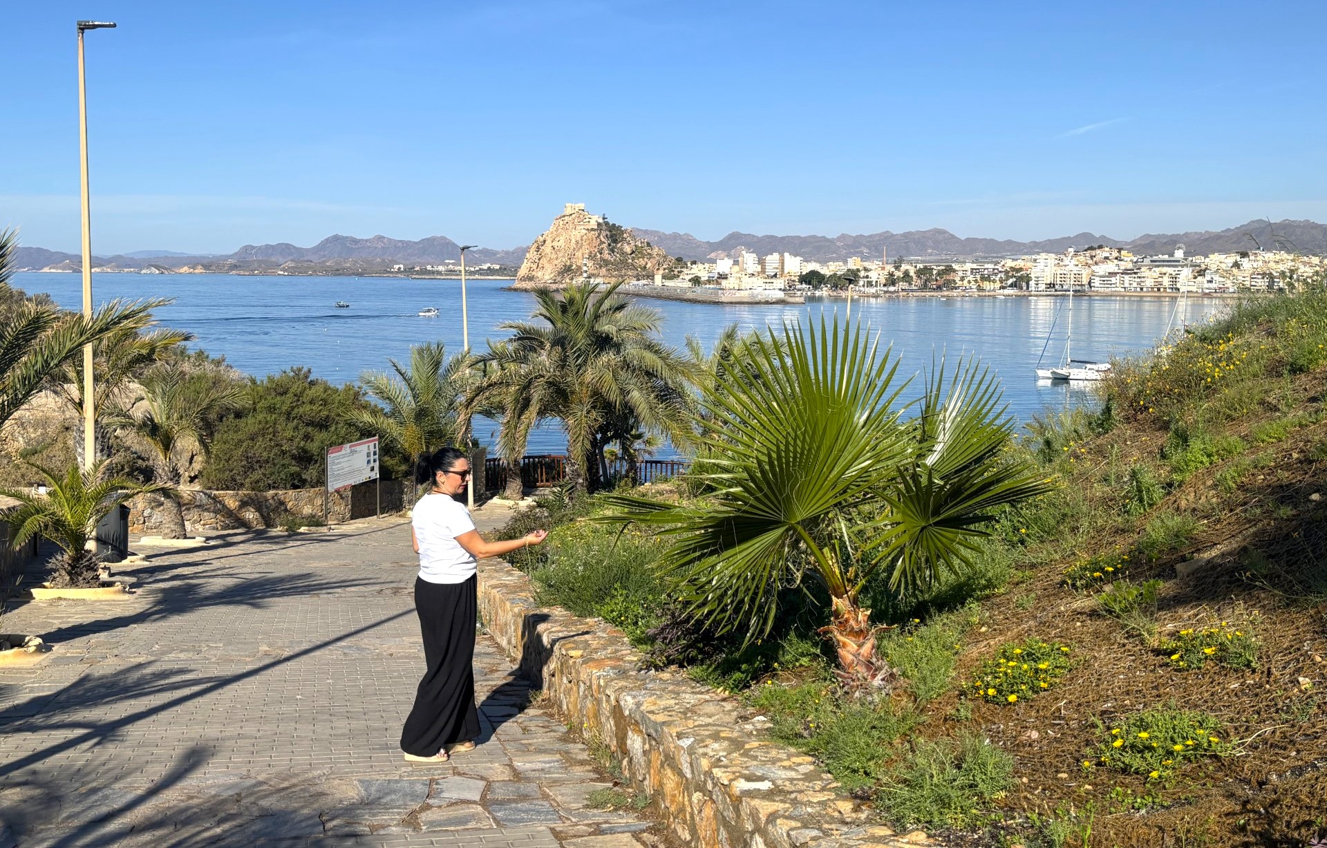 El Ayuntamiento de Águilas finaliza los trabajos de renaturalización y mejora del hábitat en la zona verde del Pico de L’Aguilica