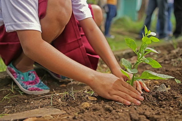 La Concejalía de Medio Ambiente de Águilas presenta un extenso programa de actividades con  motivo del Día del Árbol