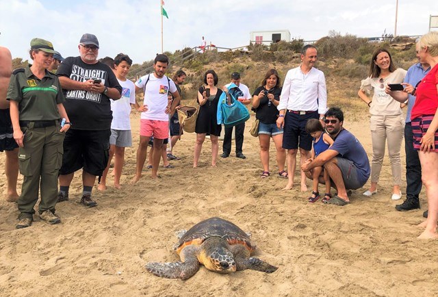 Liberada en Águilas una tortuga boba que fue hallada hace dos semanas enredada en plástico y basura marina en Mazarrón 