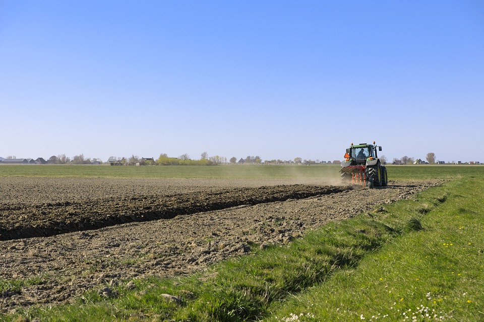 La Comunidad publica una guía con medidas para prevenir la Covid-19 en explotaciones agrarias e industrias agroalimentarias  