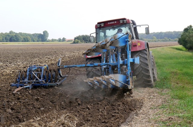 Los jóvenes agricultores aguileños se podrán beneficiar de los casi 10 millones euros de ayudas impulsadas por el Gobierno Regional  