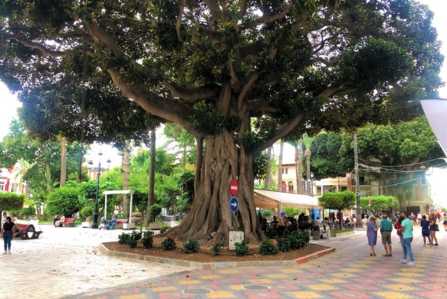 Sube el paro en Águilas en 5 personas durante el mes de agosto