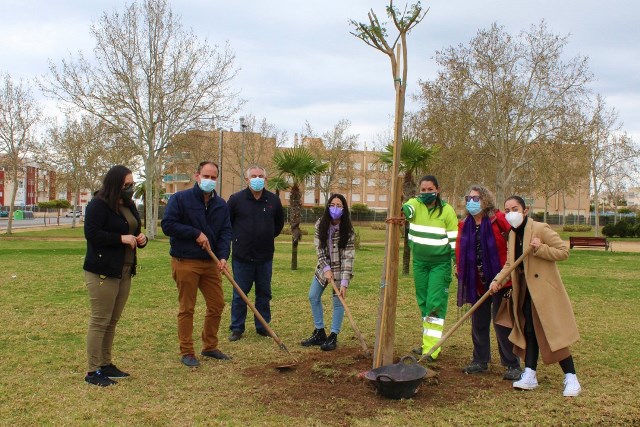 Jacaranda, un símbolo vivo de la lucha por la igualdad en el Jardín de la Memoria de Águilas 