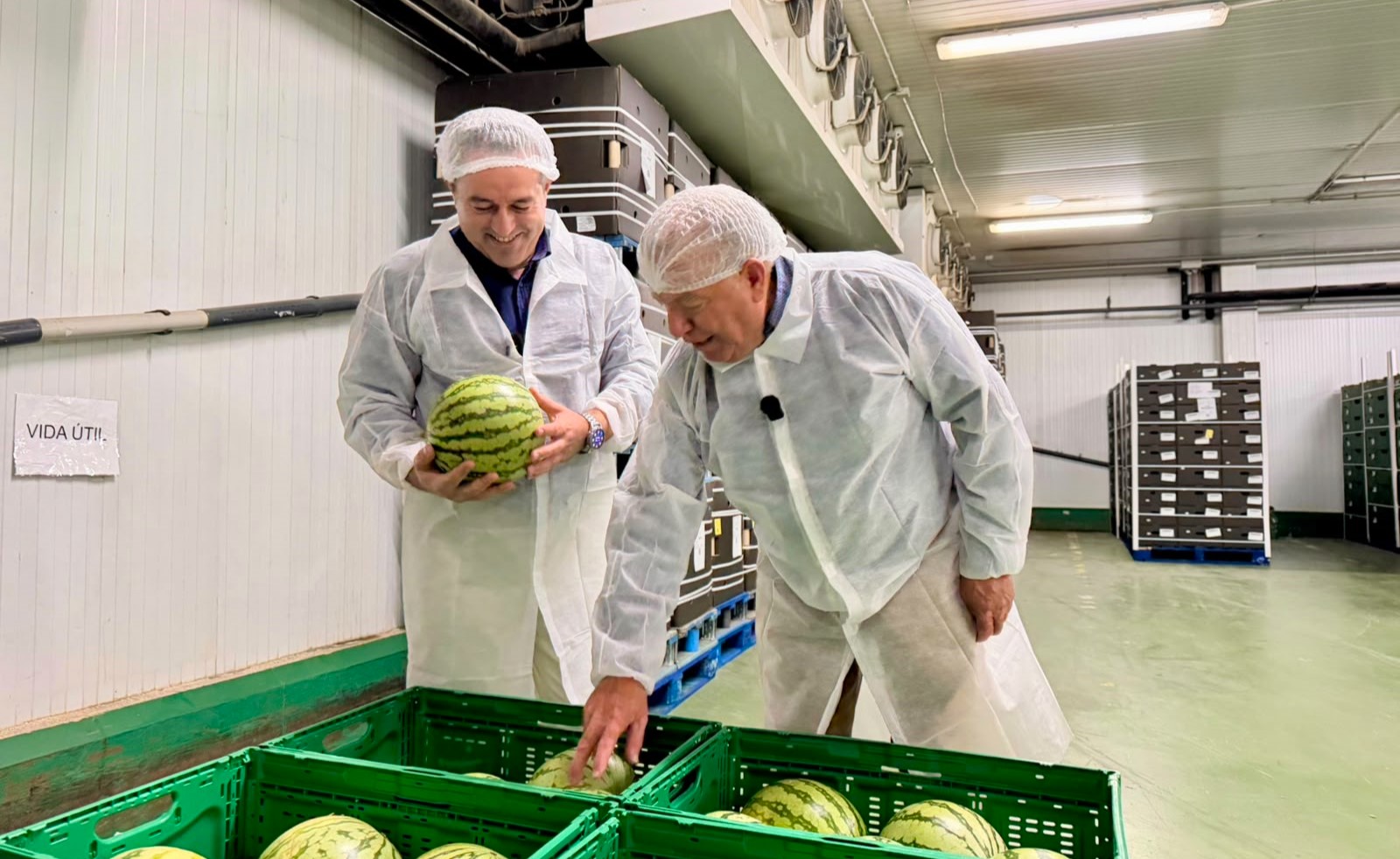 El consejero de Agricultura resalta el liderazgo de la sandía de la Región en su visita a Pozo Sur en Águilas