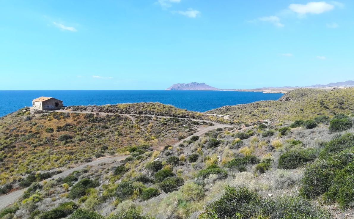 Medio Ambiente inicia un estudio de los hábitats vegetales del Parque Regional Cabo Cope y Calnegre
