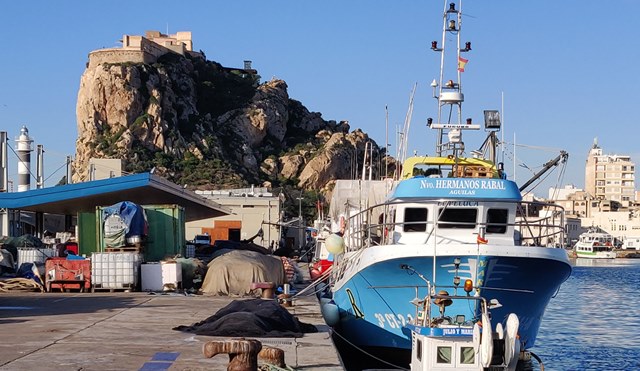 Abierta la inscripción para dos nuevos cursos gratuitos de Marinero Pescador y Formación Básica en Seguridad Marítima