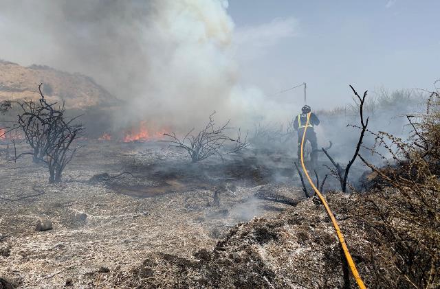 Bomberos del Consorcio de Extinción de Incendios y Salvamento de la Región de Murcia extinguen un incendio de monte bajo en Águilas 