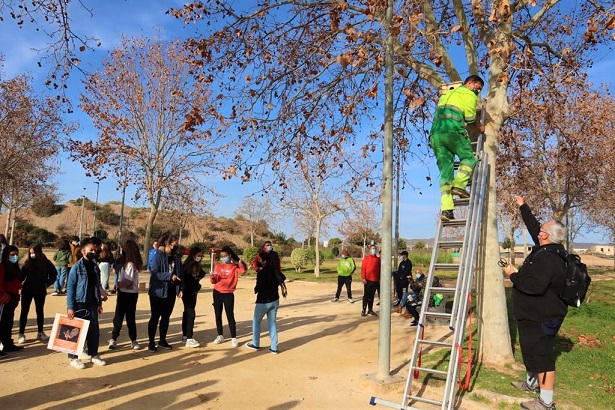 La Concejalía de Educación Ambiental pone en marcha un proyecto para incrementar la población del autillo europeo