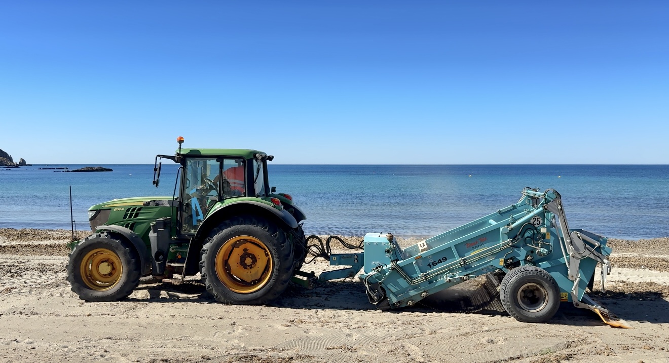 Esta es la esperada imagen de la retirada de posidonia en la playa aguileña de Calabardina